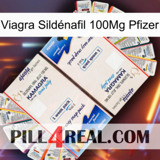 Viagra Sildénafil 100Mg Pfizer kamagra1